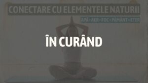Conectare cu elementele naturii